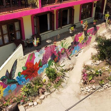 La Posada Pacifica Πουέρτο Βαγιάρτα Εξωτερικό φωτογραφία